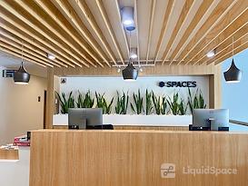 SPACES | Chia, Spaces Sibelius