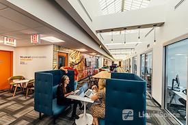 Expansive - The Loop