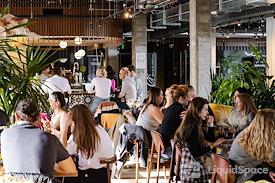 Nurture • The Wellcare Marketplace