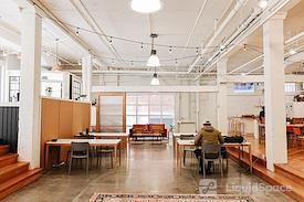 The Pioneer Collective - Belltown