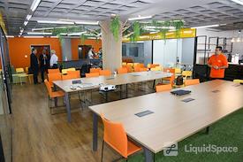 Mango Tree Coworking