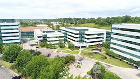 Boxer - 1810 Pyramid Place