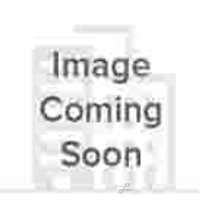 Boxer - Citadel Terrace