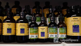 Lotus Integrative Medicine Santa Monica