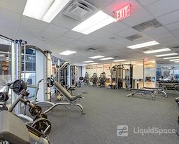 Boxer - 1220 Augusta