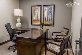 The Woodlands Office Suites