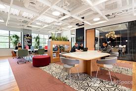 SPACES || Park Calabasas