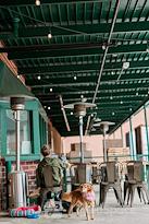 The Loading Dock - Beryl Road