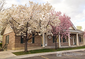 Zions Security Alarms