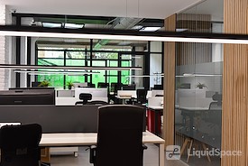 Coworking Botanico