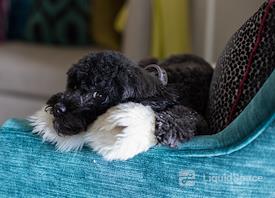 Seventy 70 - designed CoWork