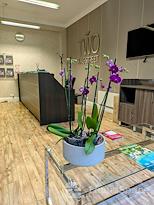 Regus | Bentonville Plaza