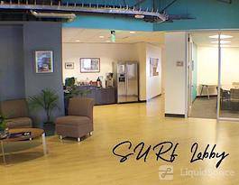 SURF Incubator