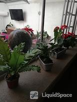 ProWorking Coyoacán