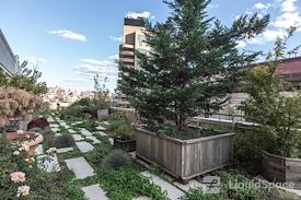 Soho Terrace