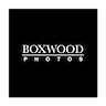 Logo of Boxwood Photo Studio