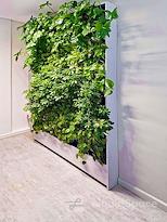 Regus | George, 97 York Street