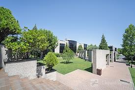 Lexington La Moraleja