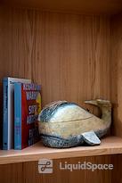 SPACES || Santa Monica