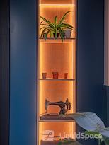 Colony | Jactin House