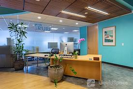 SURF Incubator