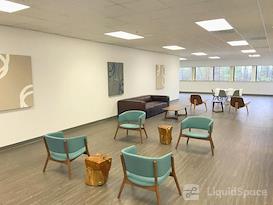 Boxer - 85 Swanson Road