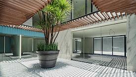 Colony Spaces Campos Elíseos