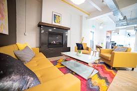 Creative Suites