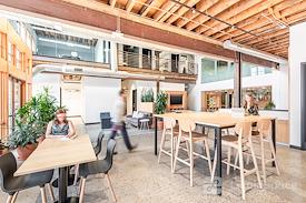 SPACES || Linden Street