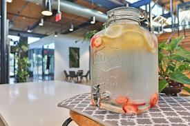 Venture X | Greenville Plush Mills