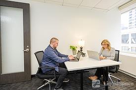 Expansive - Magnificent Mile