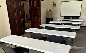 The Collective Wellness Institute