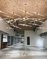 The Zoo co-working space