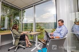 Expansive - Plaza on the Lake