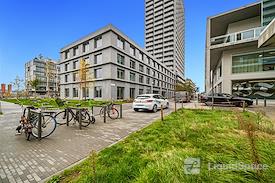 SPACES | Antwerp, Spaces Nieuw Zuid