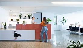 Piloto 151 - Santurce Suites