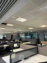 CWP Management Services