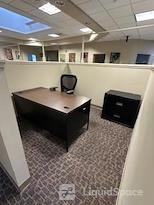 The Branford Collective