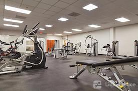 Boxer - 85 Swanson Road