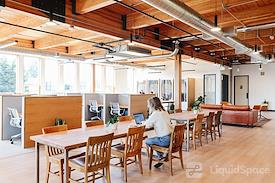 The Pioneer Collective - Ballard