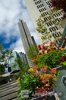 Signature | Paris, 72 Faubourg St Honoré