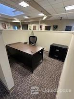 The Branford Collective