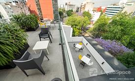 Net(work) Insurgentes Sur