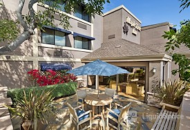 Maple Tree Inn