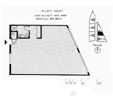 The Pioneer Collective - Belltown