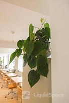 Distil Coworking Somerset