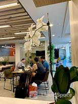 Tedge Mindful Coworking