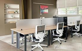 Serendipity Labs - Rye