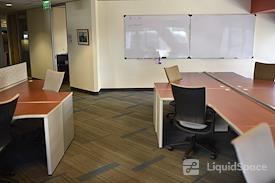 SURF Incubator