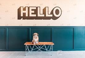 WeWork | University Park